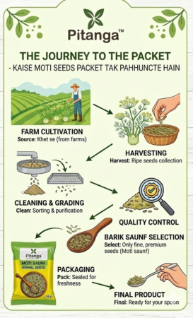 moti saunf feenel seeds journey to the packet